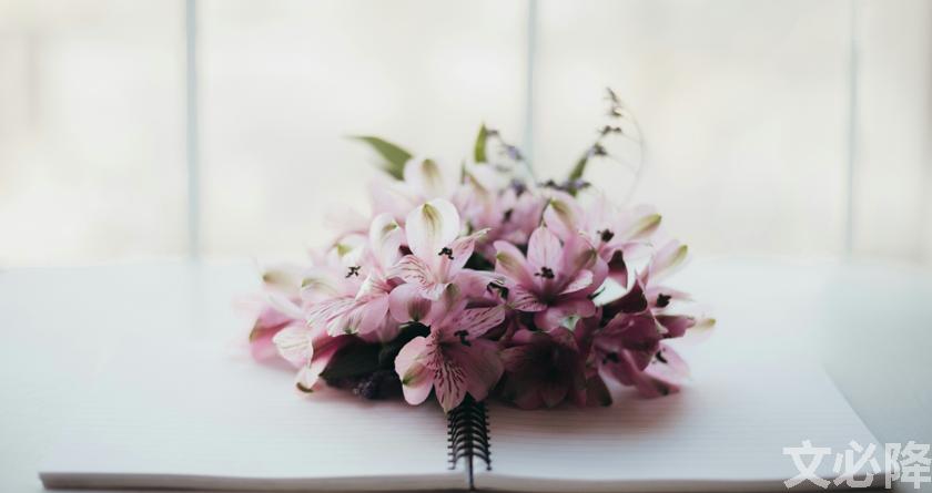 文必降AIGC,文必降论文降重, 文必降论文检测