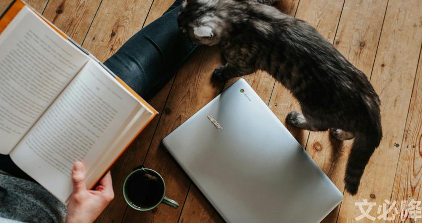 文必降AIGC,文必降论文降重, 文必降论文检测